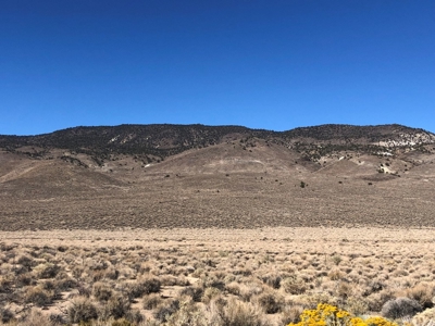 Nevada Recreational Mountain Land For Sale Mineral County NV - image 1
