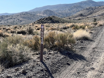 Nevada Recreational Mountain Land For Sale Mineral County NV - image 35
