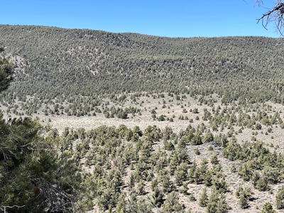 Nevada Recreational Mountain Land For Sale Mineral County NV - image 20