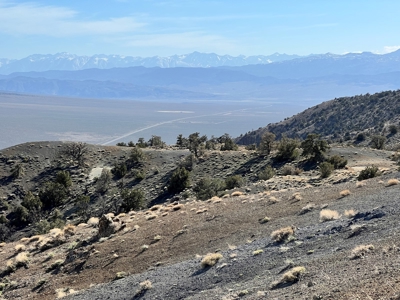 Nevada Recreational Mountain Land For Sale Mineral County NV - image 32