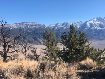 Nevada Recreational Mountain Land For Sale Mineral County NV - image 4