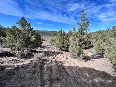 Nevada Recreational Mountain Land For Sale Mineral County NV - image 29