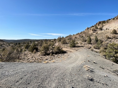Nevada Recreational Mountain Land For Sale Mineral County NV - image 30