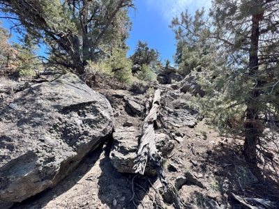 Nevada Recreational Mountain Land For Sale Mineral County NV - image 19