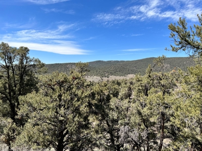 Nevada Recreational Mountain Land For Sale Mineral County NV - image 13