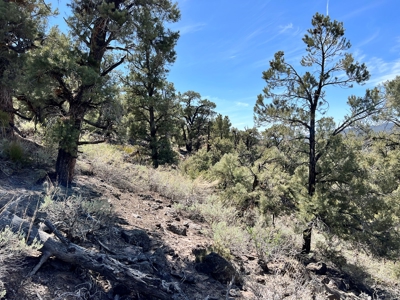 Nevada Recreational Mountain Land For Sale Mineral County NV - image 14