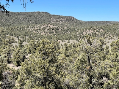 Nevada Recreational Mountain Land For Sale Mineral County NV - image 17