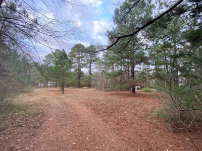 Land With Timber and Creek in Harrison County, TX For Sale! - image 11