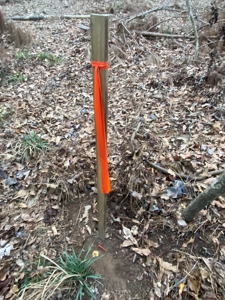 Land With Timber and Creek in Harrison County, TX For Sale! - image 15