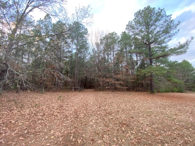 Land With Timber and Creek in Harrison County, TX For Sale! - image 3