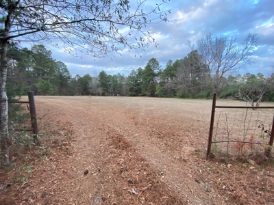 Land With Timber and Creek in Harrison County, TX For Sale! - image 7