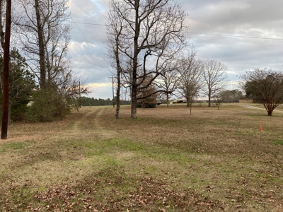 Land With Timber and Creek in Harrison County, TX For Sale! - image 9