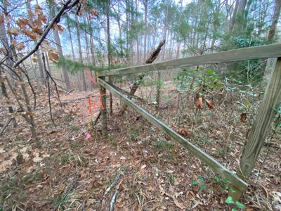 Land With Timber and Creek in Harrison County, TX For Sale! - image 14