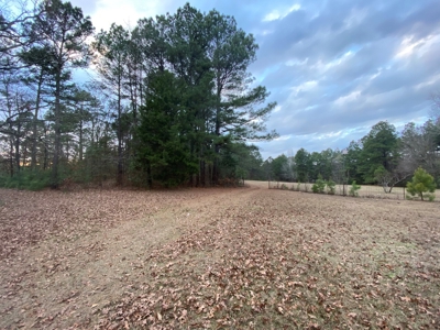 Land With Timber and Creek in Harrison County, TX For Sale! - image 8