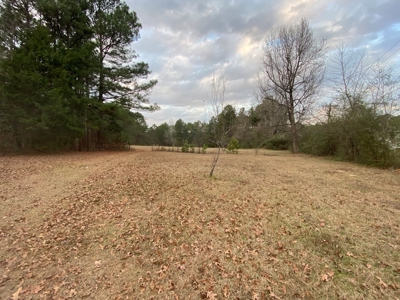 Land With Timber and Creek in Harrison County, TX For Sale! - image 6