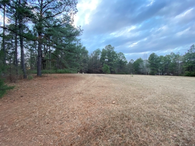 Land With Timber and Creek in Harrison County, TX For Sale! - image 2