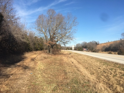Arkansas Ozarks Wooded Acreage w/Highway Frontage For Sale - image 2