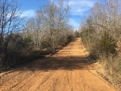 Arkansas Ozarks Wooded Acreage w/Highway Frontage For Sale - image 3