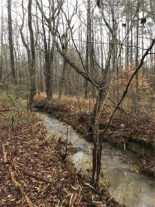 Rural Mountain Setting with creek in N.GA - image 6