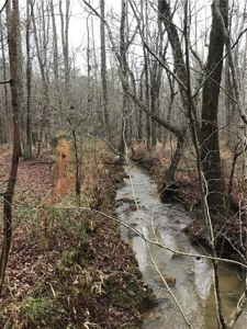 Rural Mountain Setting with creek in N.GA - image 12