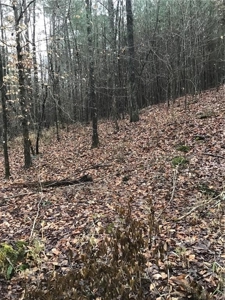 Rural Mountain Setting with creek in N.GA - image 16