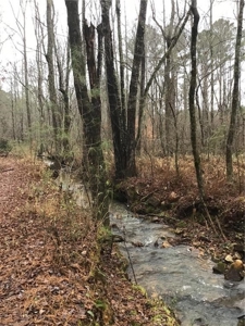 Rural Mountain Setting with creek in N.GA - image 5