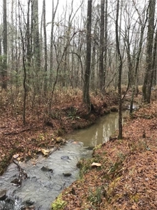 Rural Mountain Setting with creek in N.GA - image 4