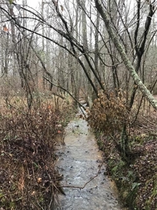 Rural Mountain Setting with creek in N.GA - image 15