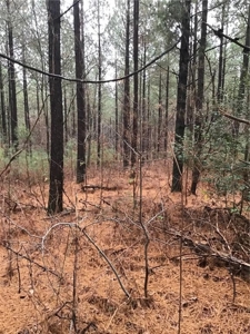 Rural Mountain Setting with creek in N.GA - image 14