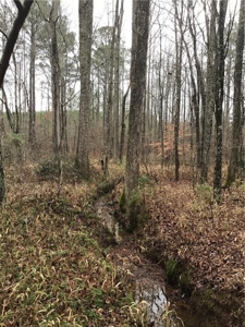 Rural Mountain Setting with creek in N.GA - image 23