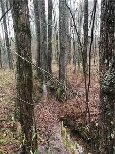 Rural Mountain Setting with creek in N.GA - image 22
