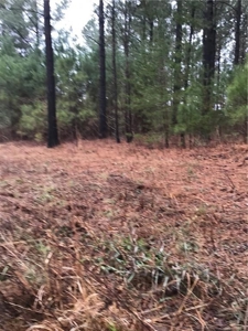 Rural Mountain Setting with creek in N.GA - image 11