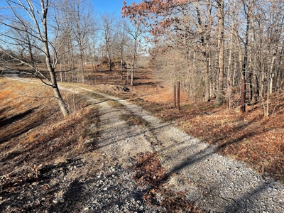 Land for Sale in Southern Missouri - image 5