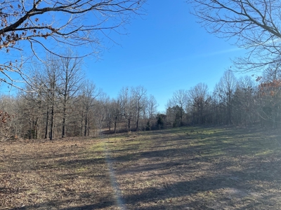 Land for Sale in Southern Missouri - image 10