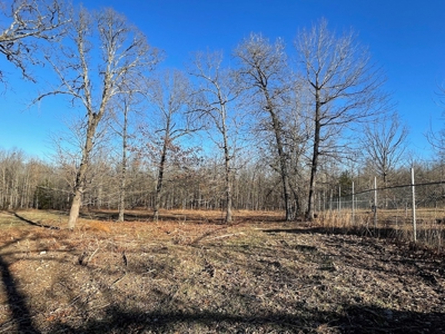 Land for Sale in Southern Missouri - image 8