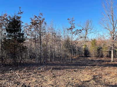 Land for Sale in Southern Missouri - image 9