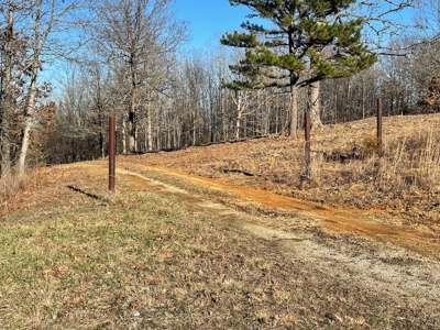 Land for Sale in Southern Missouri - image 3