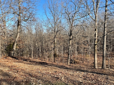 Land for Sale in Southern Missouri - image 11