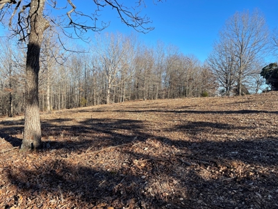 Land for Sale in Southern Missouri - image 1