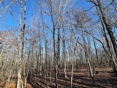 Land for Sale in Southern Missouri - image 6