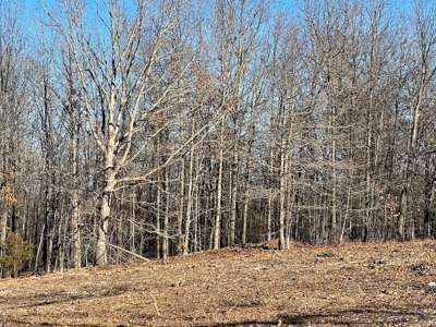 Land for Sale in Southern Missouri - image 4