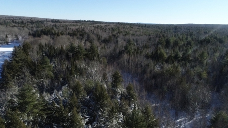 Land For Sale - image 19