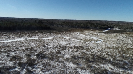 Land For Sale - image 13