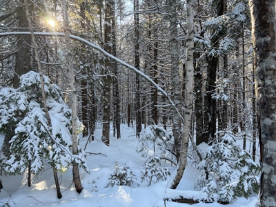 Land For Sale - image 4