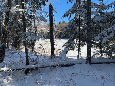 Land For Sale - image 7
