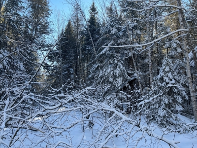 Land For Sale - image 8
