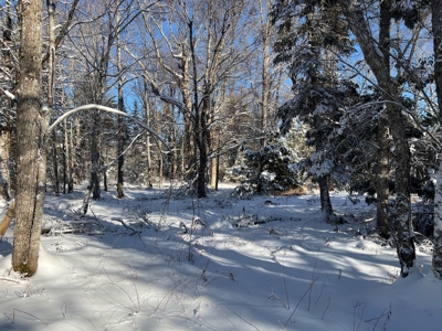 Land For Sale - image 6