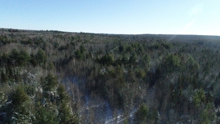 Land For Sale - image 11