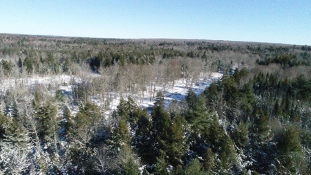 Land For Sale - image 12