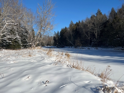 Land For Sale - image 1